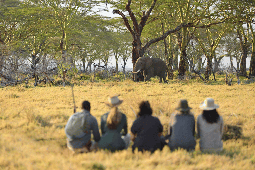 Namiri Plains Camp